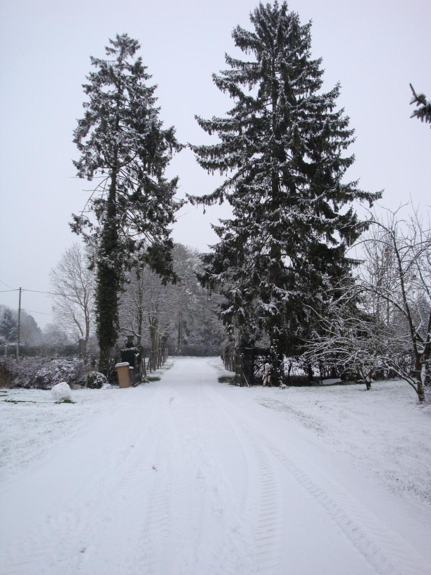 Bed and Breakfast Ferme De La Cacheterie, Fleury-la-Forêt Exterior foto